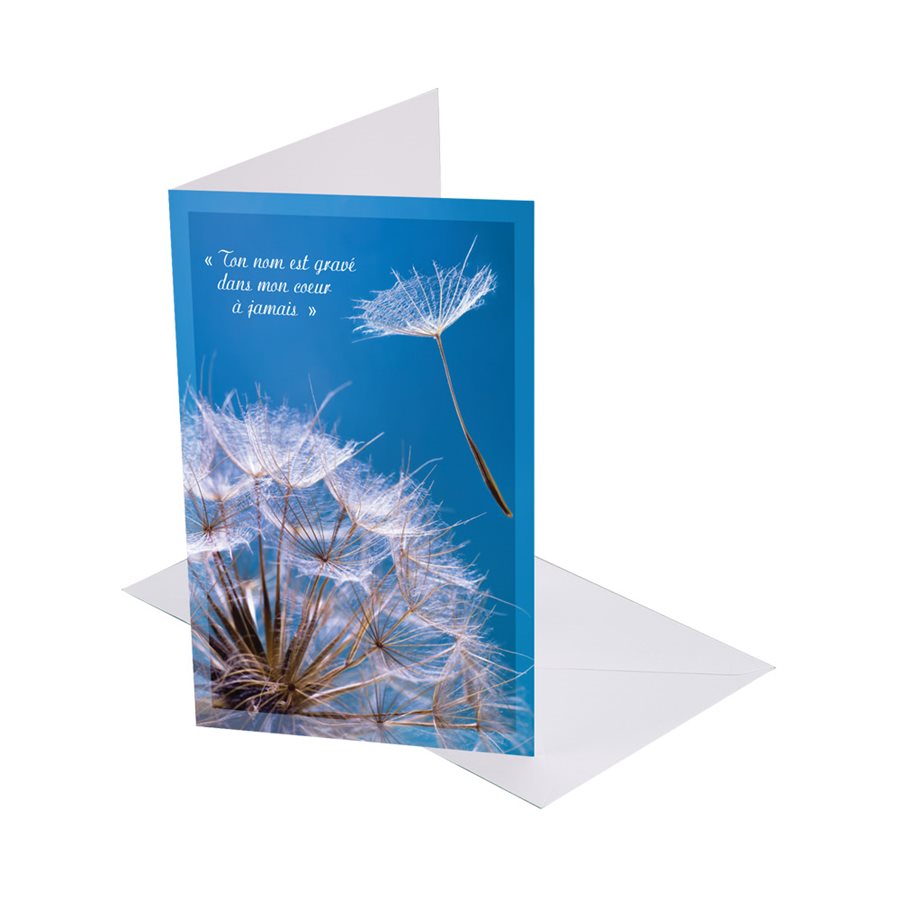 Sympathy Cards w / Env., 4¼ x 7½", French / ea