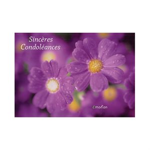 'Sincères Condoléances'' Cards, 4 x 6'', French / ea