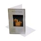 Sympathy Cards w /  Env., 4¼ x 7½", English  /  ea