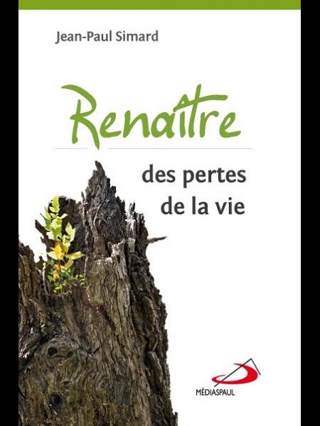 Renaître des pertes de la vie (French book)