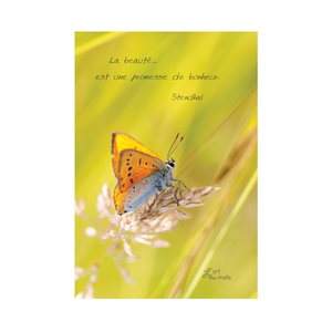 Carte sans texte « Beauté », enveloppe, 12,7 x 17,8 / un