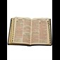 French Bible