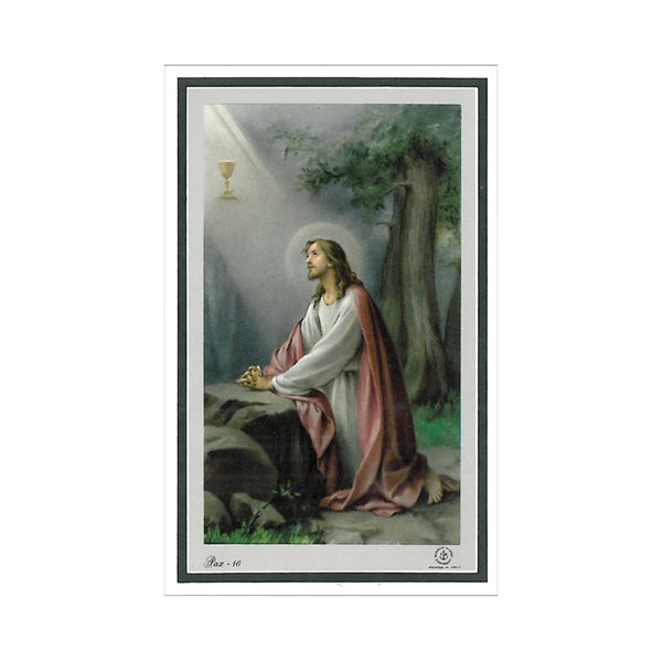 Pax Series, Religious Pictures, 2 7 / 8 x 4½" / ea