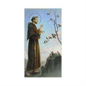 101-Series, ''St. Francis'' Pictures, 2¼ x 4"