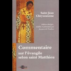 Commentaire sur l'évangile selon saint Matthieu -French book