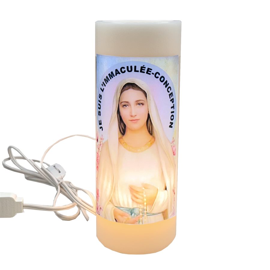120v Electric Our Lady of Lourdes Night Light, 3'' x 8''