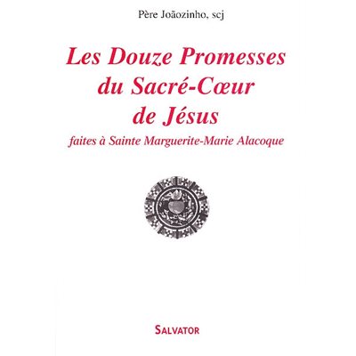 Douzes Promesses du Sacré-Coeur-Jésus, Les