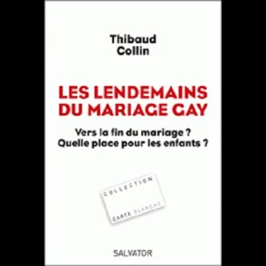 Lendemains du mariage gay, Les (French book)