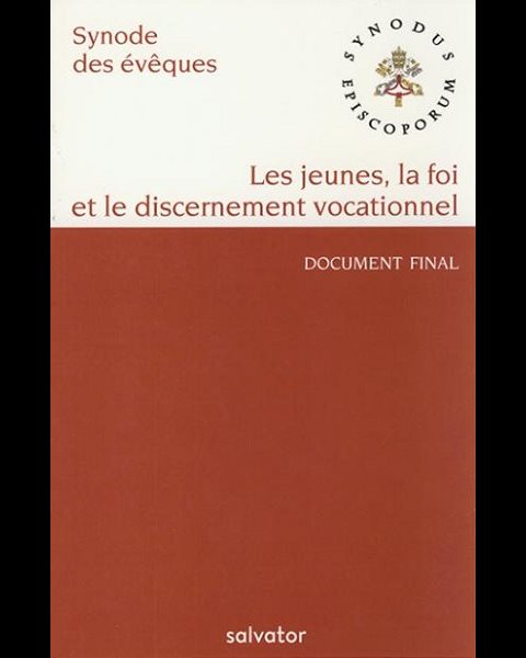 Jeunes, la foi et le discernement vocationnel, Les