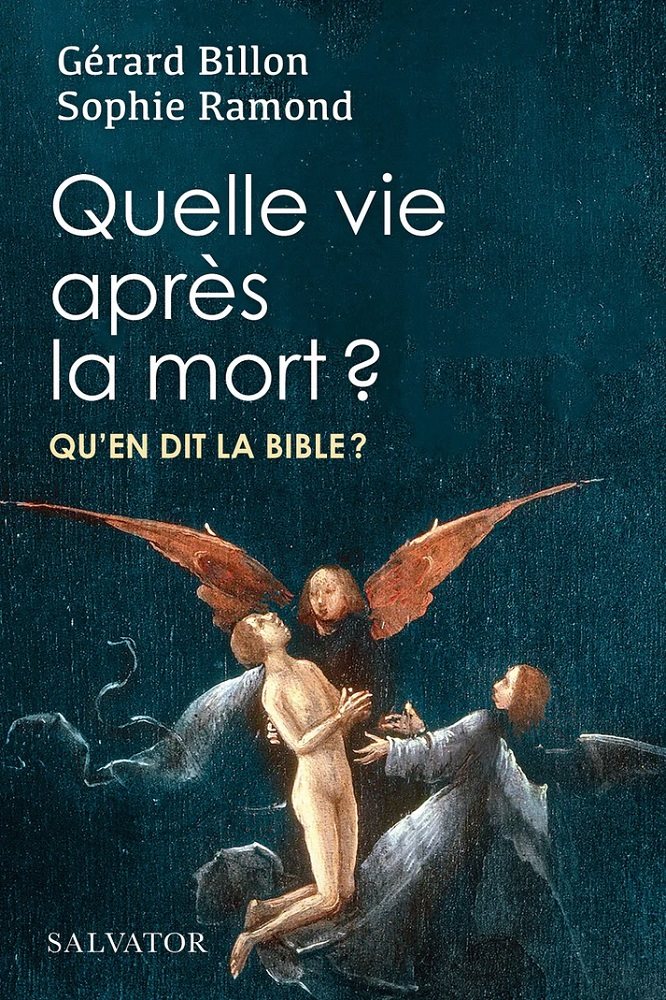 Quelle vie après la mort ?, French book