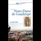 Prier 15 jours avec Notre-Dame de Guadalupe