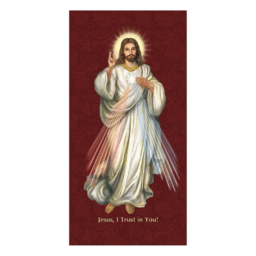 Sacred Image Series X-Stand Banner - Divine Mercy