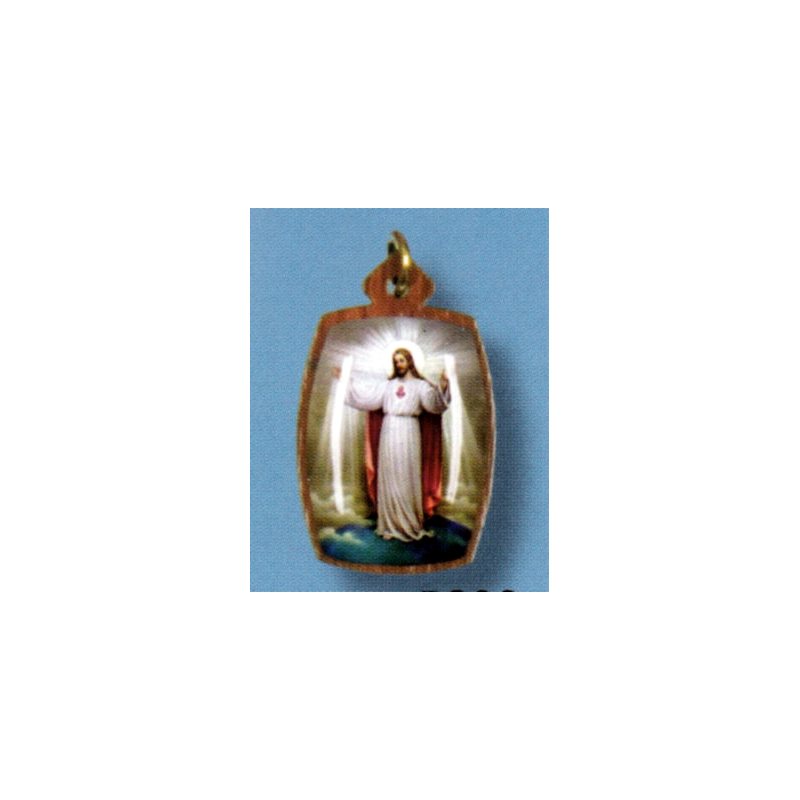 Pendent Sacred Heart Jesus Montmartre with cord necklace