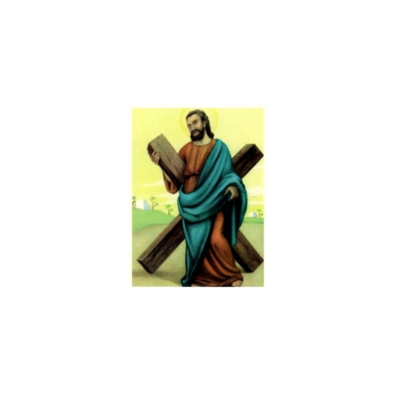 Print St. Andrew 7.5" x 10.25" (19 x 26 cm) / un