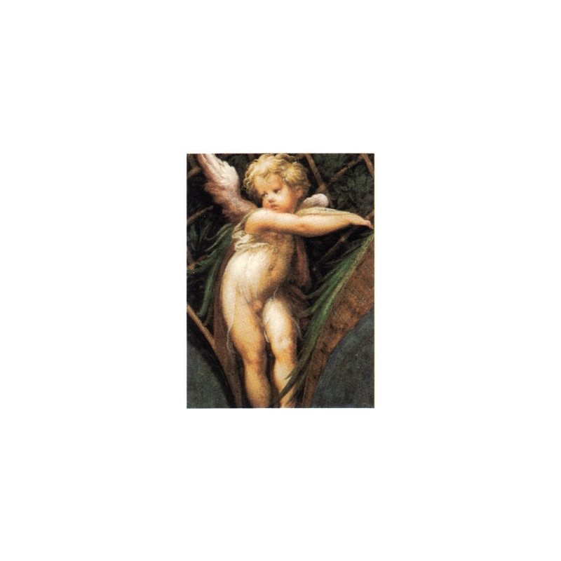 Print Cherub 8"x10" (20x25 cm) / un