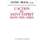 Action du Saint Esprit dans nos Âmes, L'